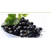 Black Currants (munakka)