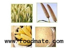 Food Grains