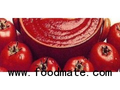 tomato paste in canned