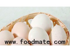 dried egg white protein albumen powder