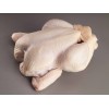 WHOLE HALAL FROZEN CHICKEN, CHICKEN FEET,  CHICKEN BREAST, CHICKEN LEG, CHICKEN DRUM STICK.