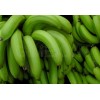 Viet Nam green cavendish banana
