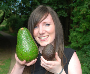  largest avocado