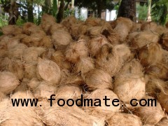 fresh coconut