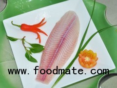 Frozen pangasius (basa)