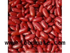 Red Kidney Beans