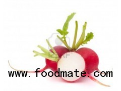 India Radish