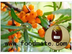 Organic Sea Buckthorn Fruit Oil with high content of OMEGA-7