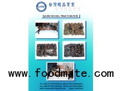 Live Mud Crabs