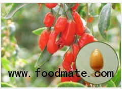 Organic Goji Juice Powder 12- years experience