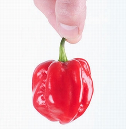 habanero