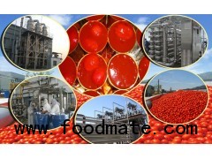 Tomato Paste Production Line