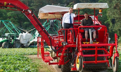 gherkin harvest machines 