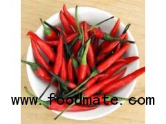 Red Chillies