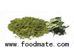 Herb 100% Pure Natural Peppermint Leaf Powder Mint
