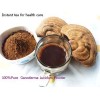  Pure Reishi Mushroom Ganoderma Lucidum Powder