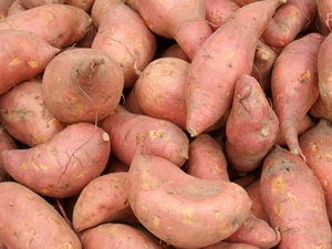 sweet potato