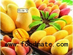 Fresh Mangoes