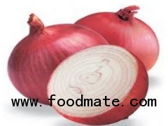 Fresh red and white onions