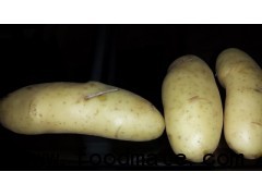 Potatoes