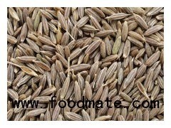 Cumin Seeds