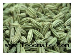 Fennel Seed