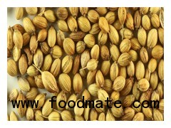 Coriander Seeds