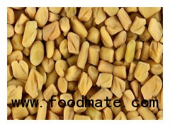 Fenugreek Seed