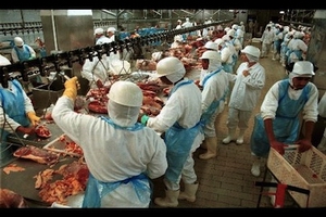 meat production