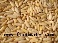 pine nuts kernel