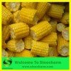 Frozen Sweet Corn