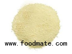 White Onion Powder