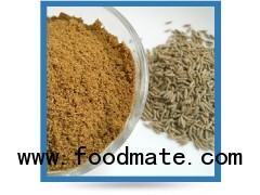 Cumin Powder