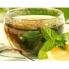 Tulsi Green Tea