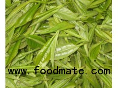 100% natural Green Tea Extract