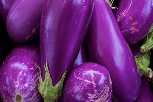 eggplant