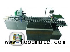 LX-120 High-speed Ice cream Box Packing Machine