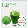 Organic  Pure Barley Grass Powder Company Main Product On sale