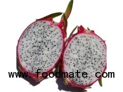 Fresh Dragon Fruit