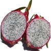 Fresh Dragon Fruit