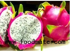 dragon fruit