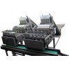 Cashew nut shelling machine