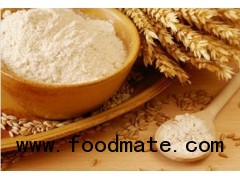 High quality wheat flour fresh harwest