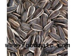 Sunflower seeds ( fresh harvest)