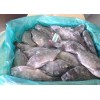 Frozen Whole Black Tilapia, Gutted or Without gutted