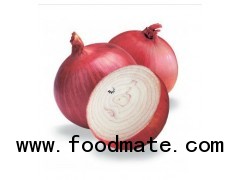 Fresh Onion