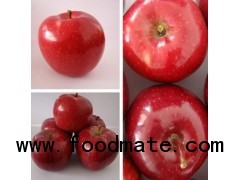 fresh red delicious huaniu apple