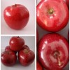 fresh red delicious huaniu apple