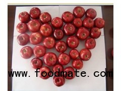 crispy huaniu apple