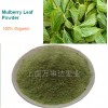 Top Quality Mulberry Leaf Powder Factory Direct Sale